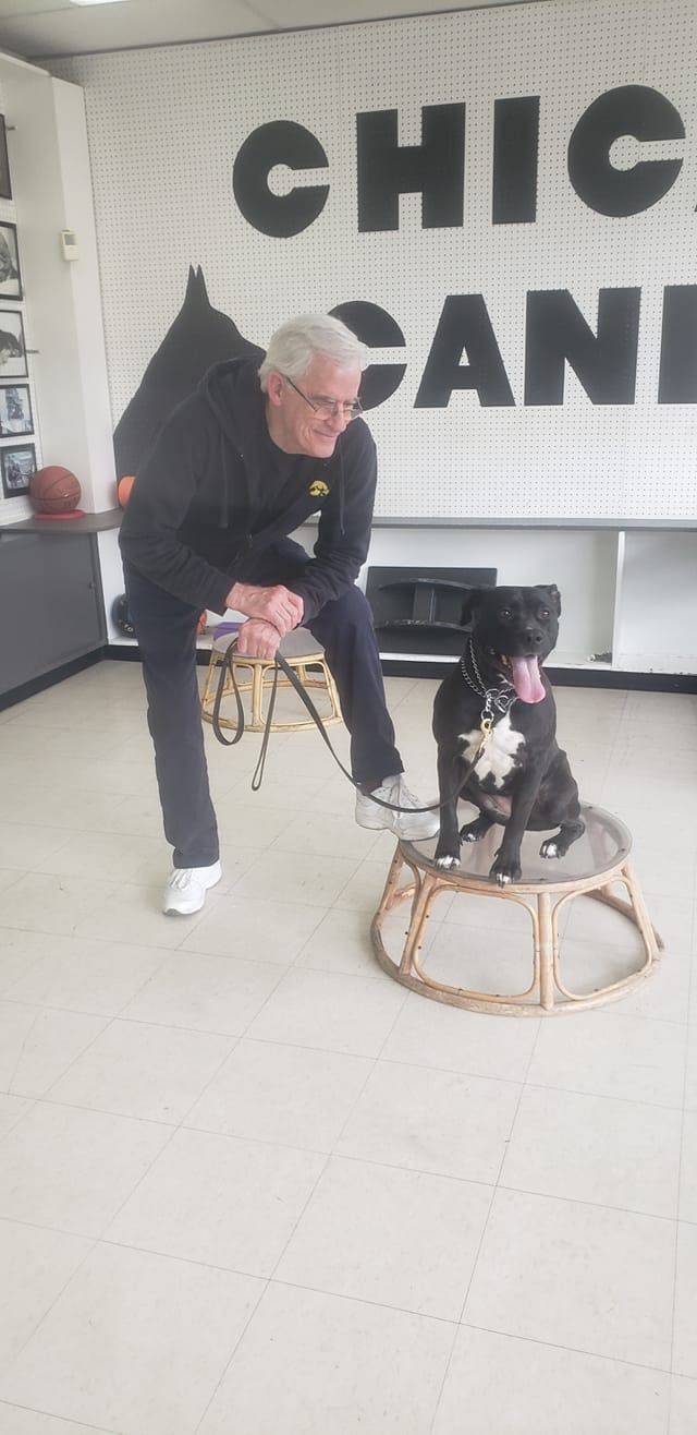 Man with a dog on a stool inside a building with 