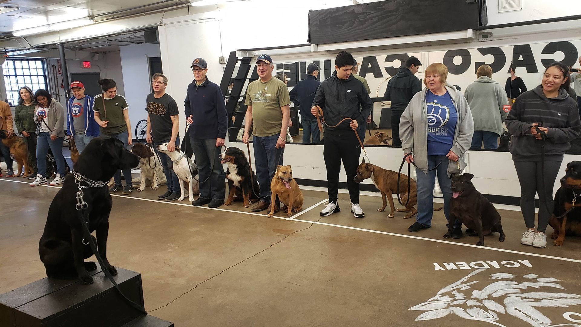 Dogs and handlers line up at an indoor dog training class. A black dog sits on a box in front.