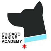 Logo: Black dog head silhouette with blue collar, "Chicago Canine Academy" text, and red star.