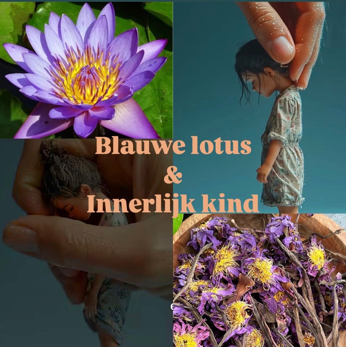 Esmee Evers geeft een Blauwe Lotus Ceremonie bij Hugz in Zelhem
