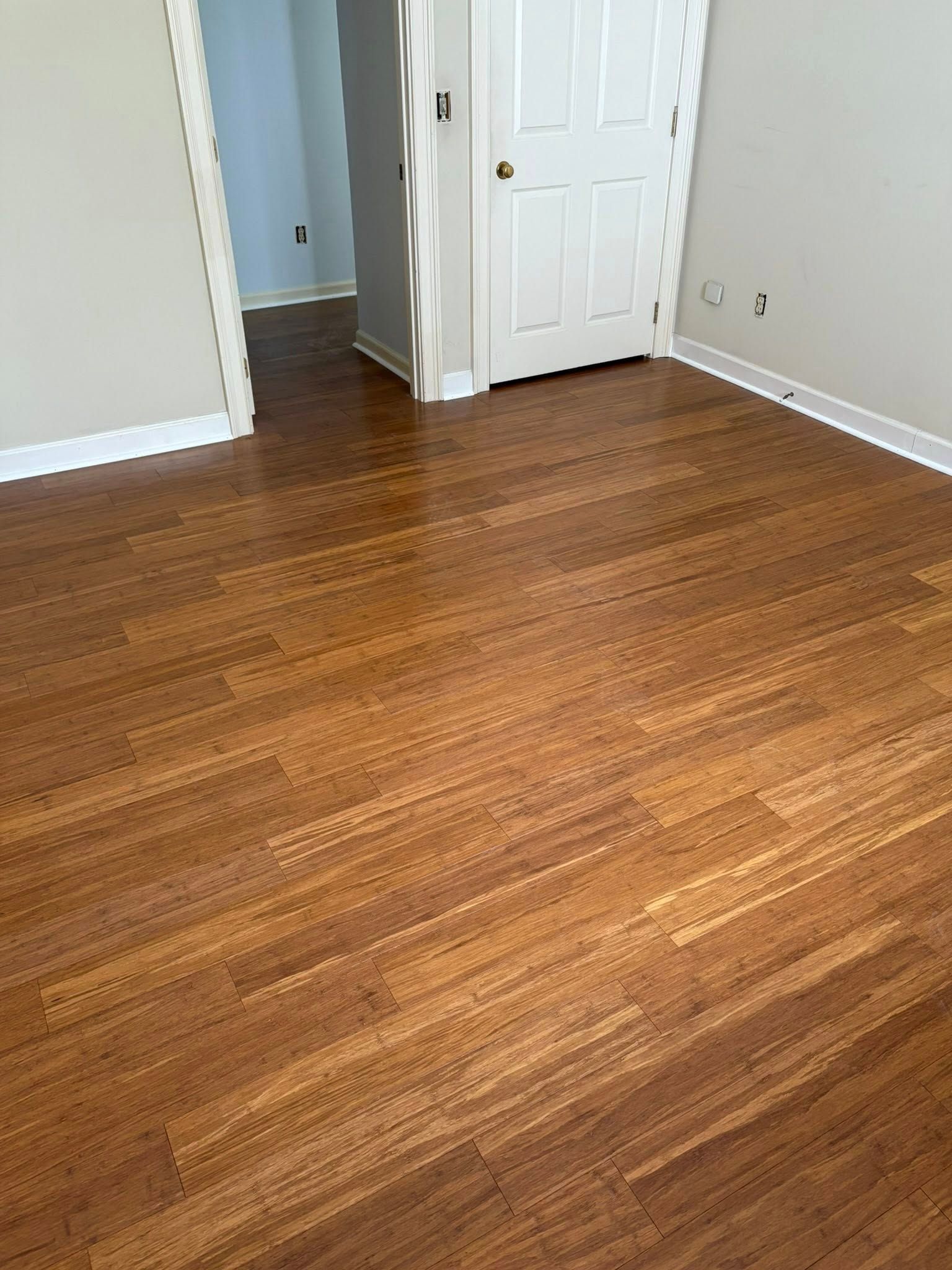 Wooden floor in a room with a door and doorway, white trim, and light-colored walls.