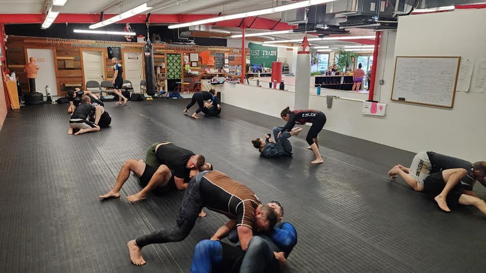 a group of people are practicing martial arts in a gym .