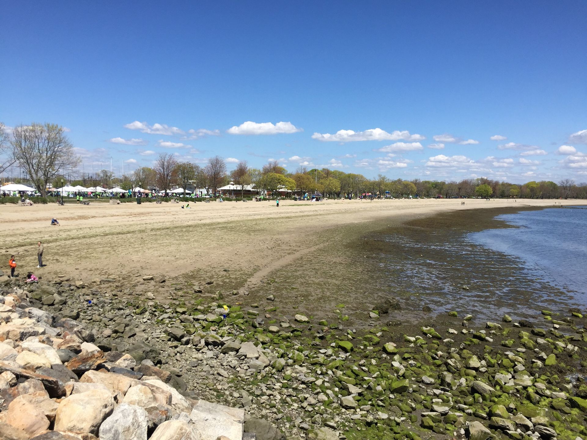 calf pasture beach in norwalk, ct 