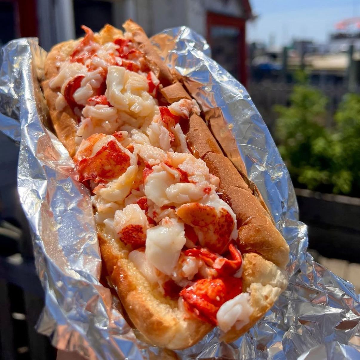 lobster roll from Lobster Landing in Clinton, CT