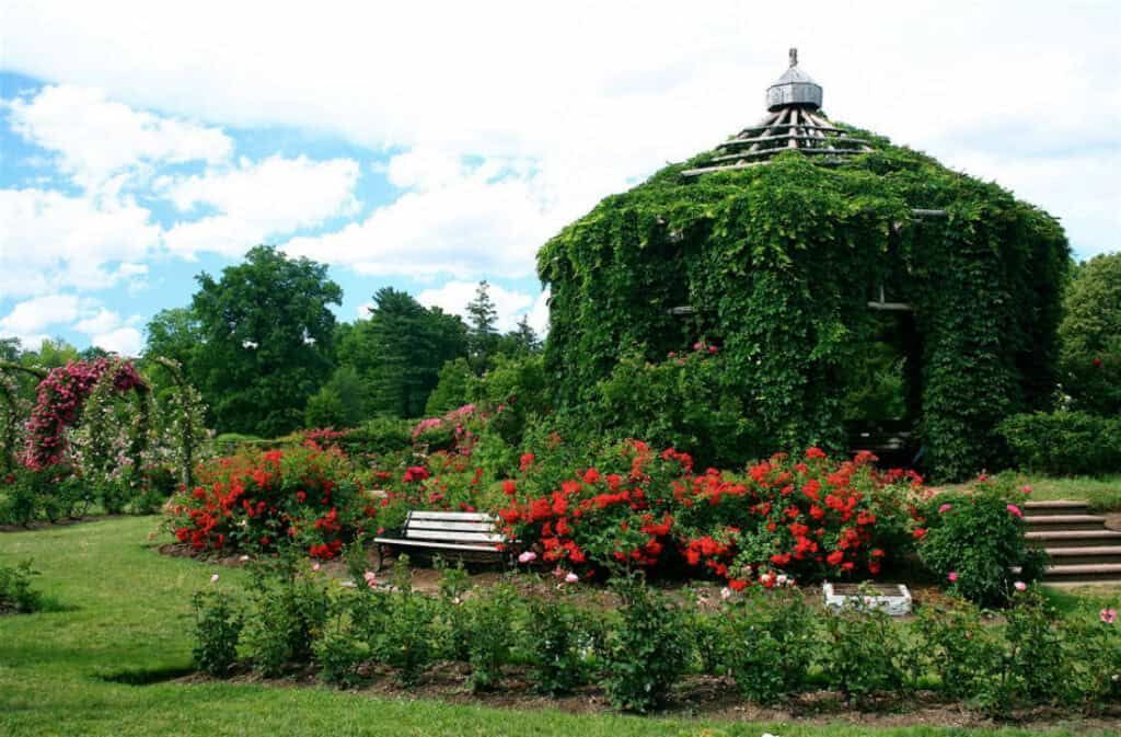 Elizabeth Park Rose Garden