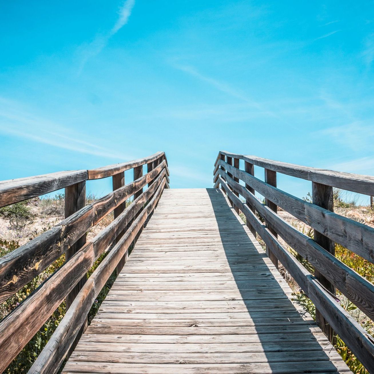 Top Boardwalks in Connecticut to Visit 