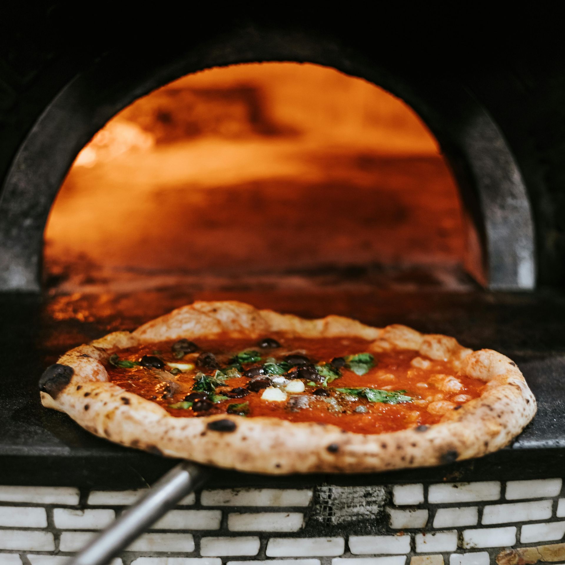 pizza places in New Haven, CT 