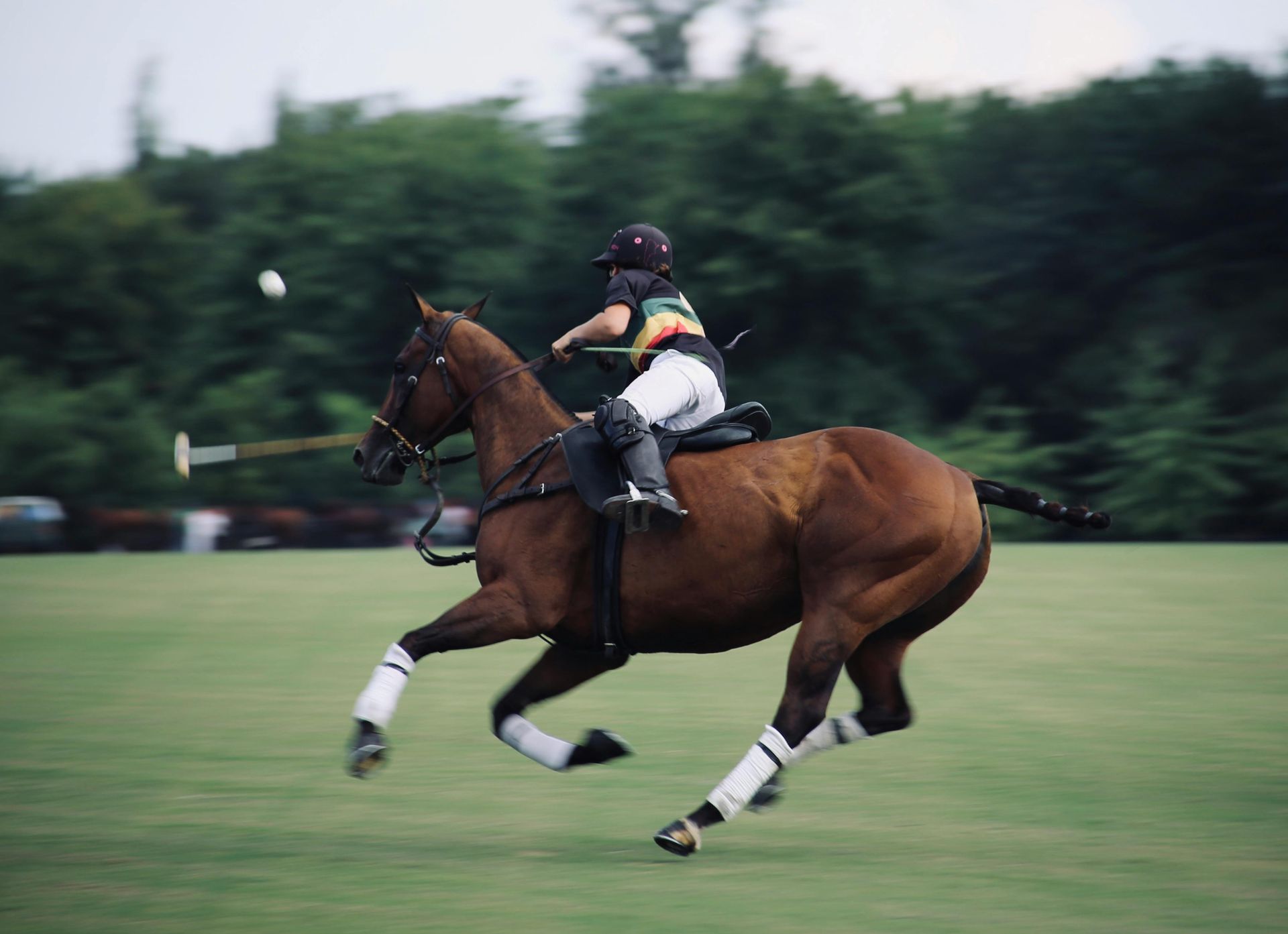 polo