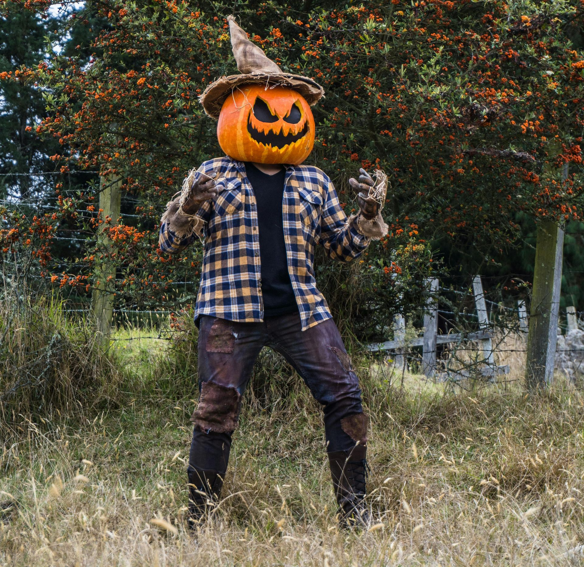 scarecrow