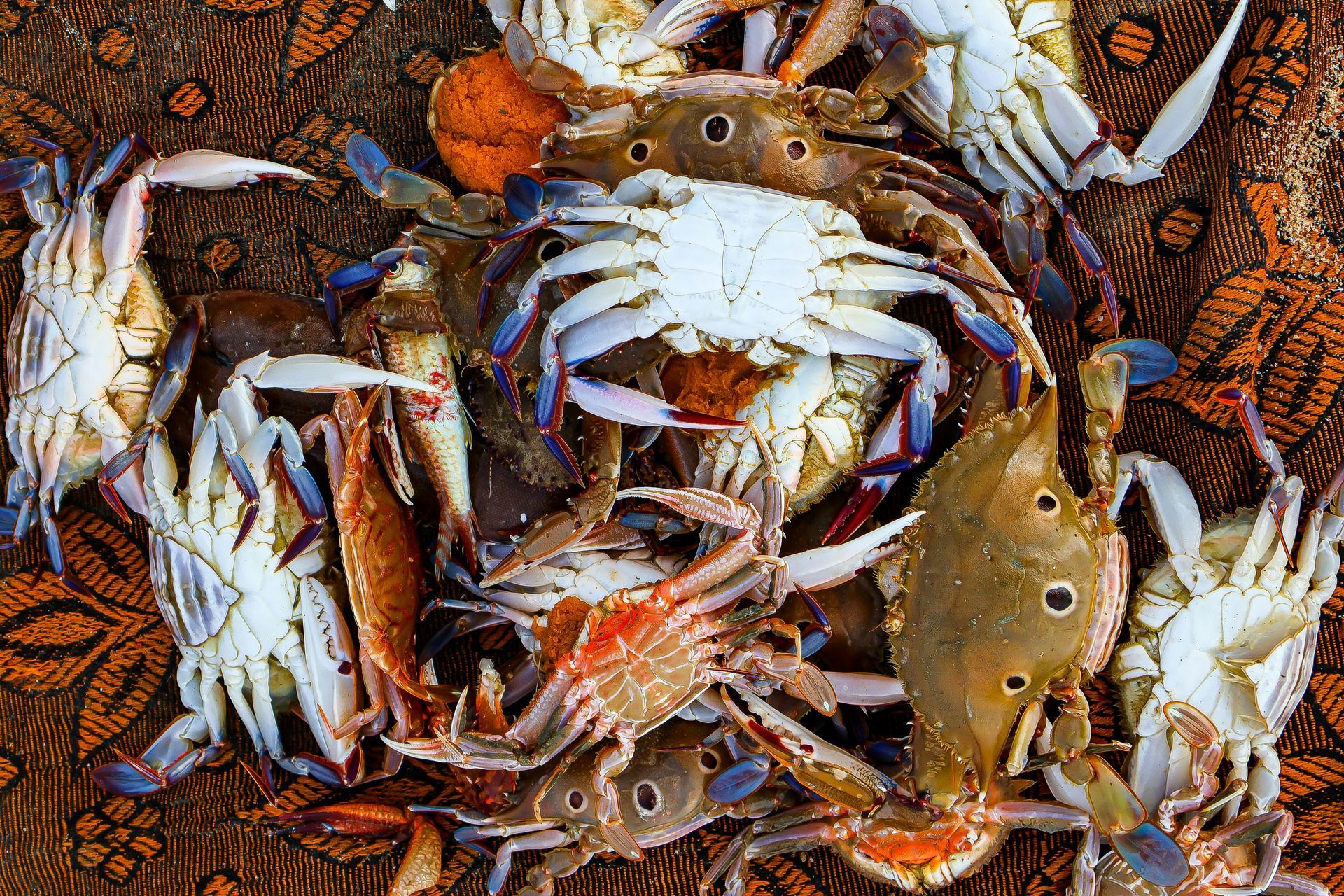 crabbing