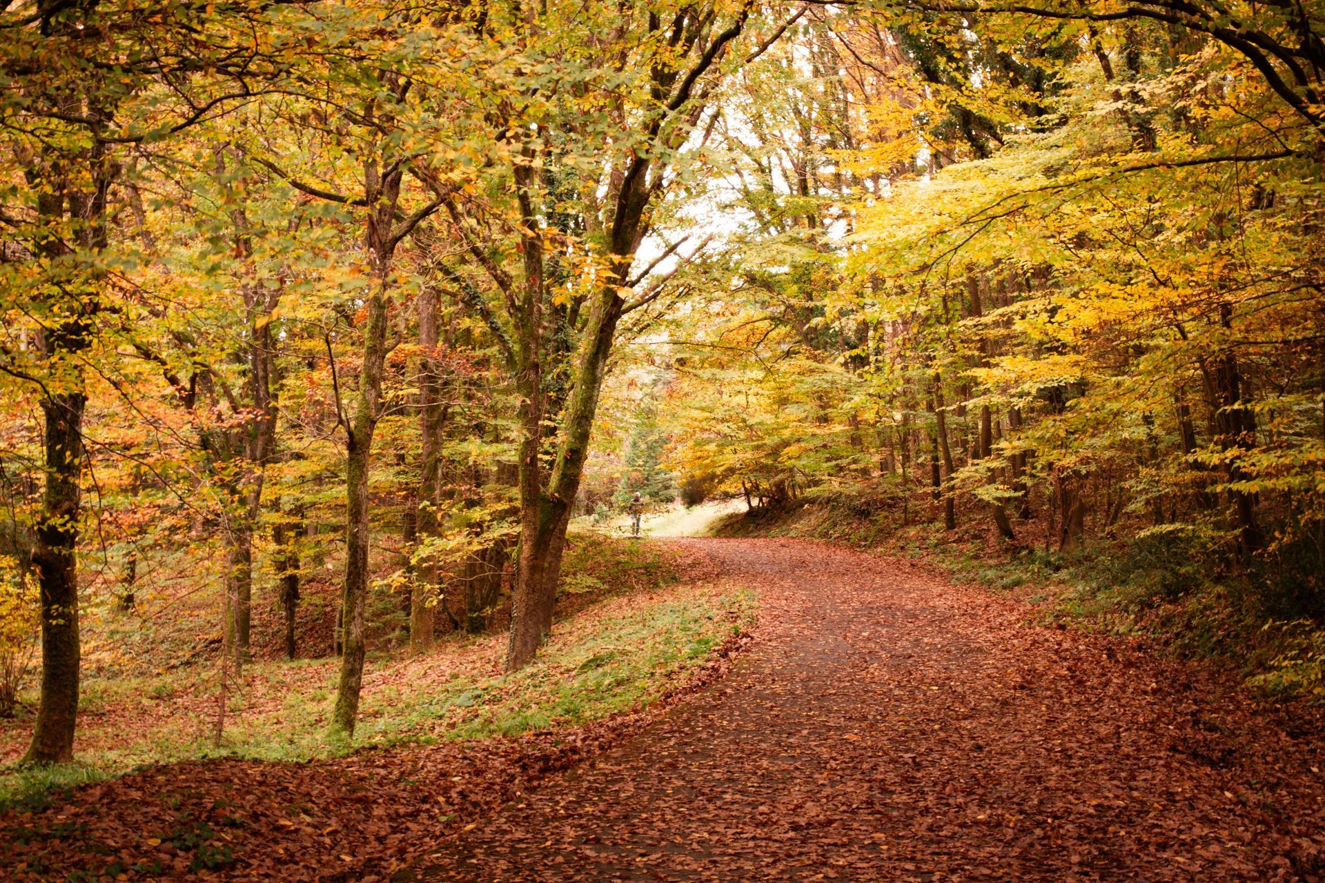 fall hike