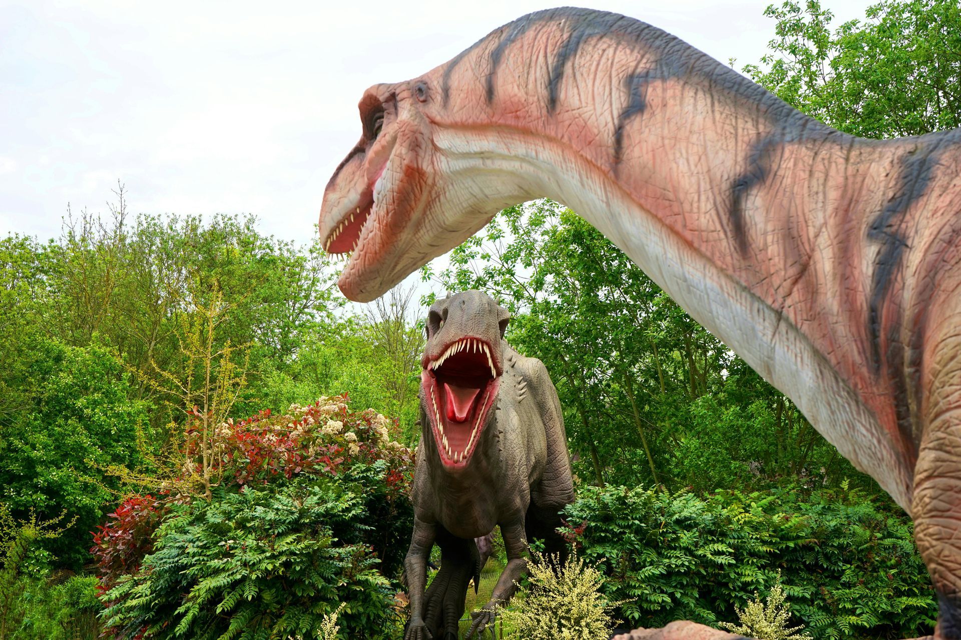 dinosaur state park