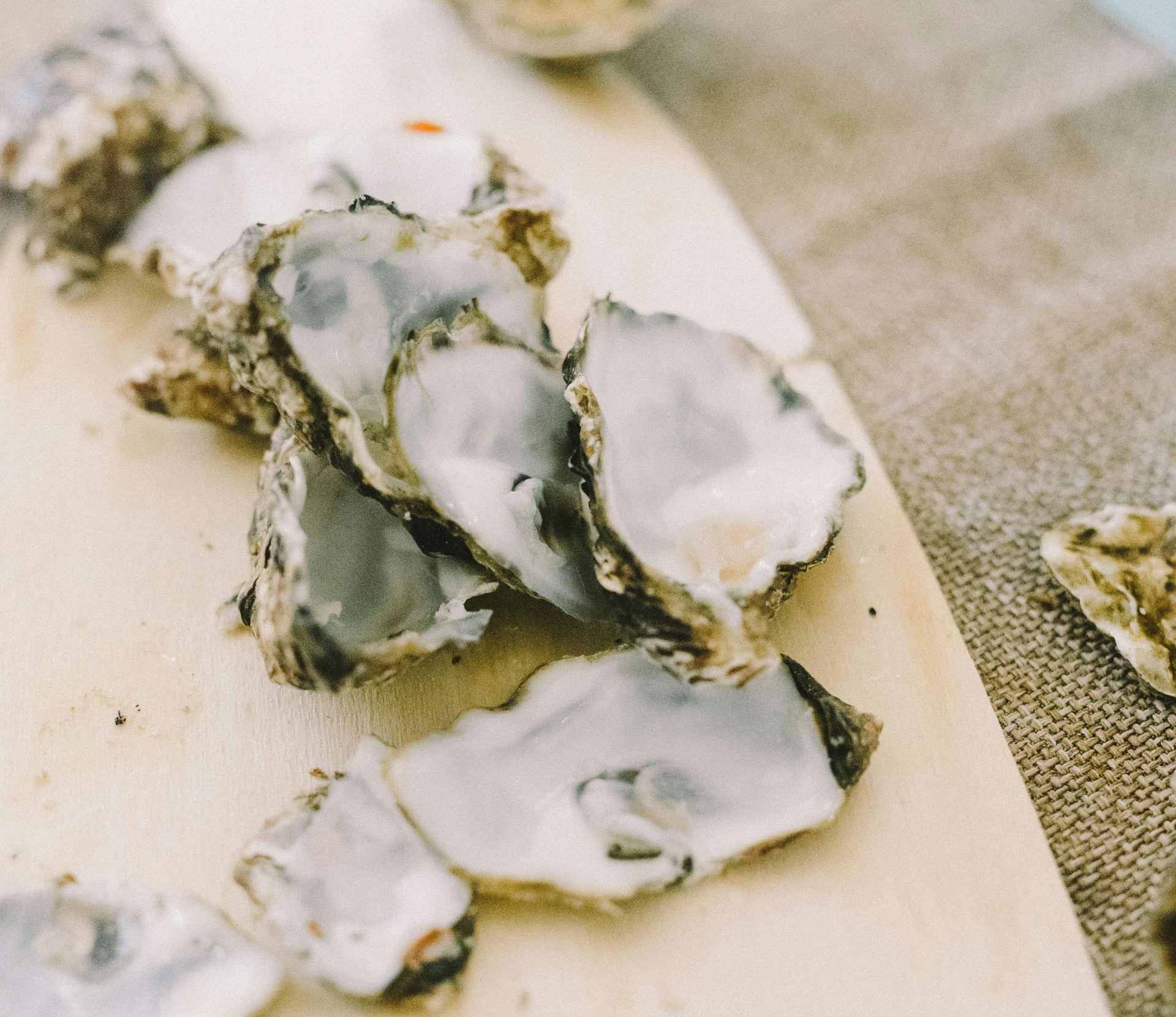 oysters