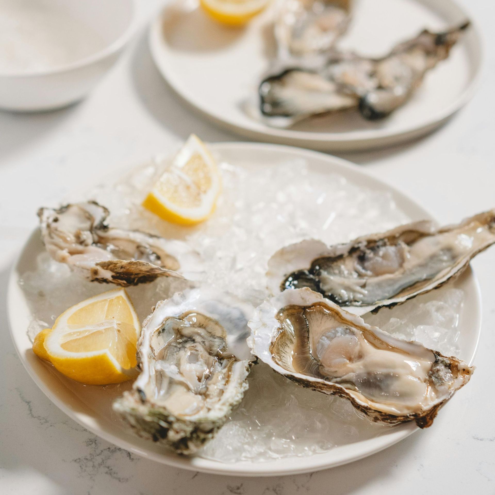 Milford Oyster Festival in Milford, CT