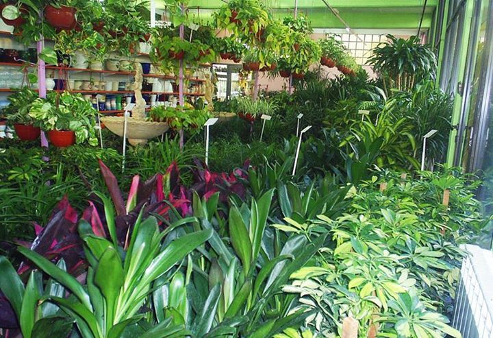 Muebles para jardín en Bahía Blanca