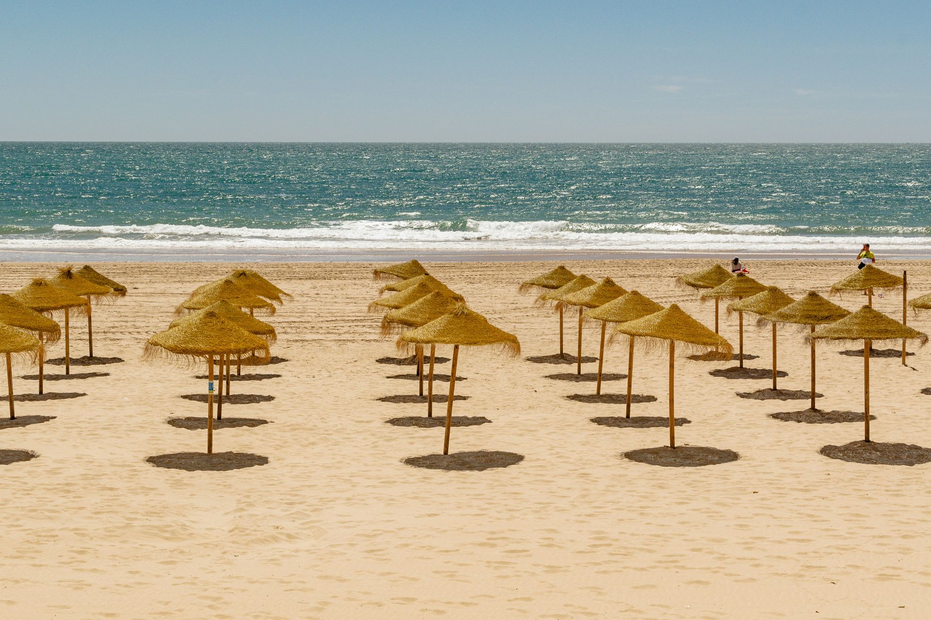 A row of umbrellas on a beach with the ocean in the background