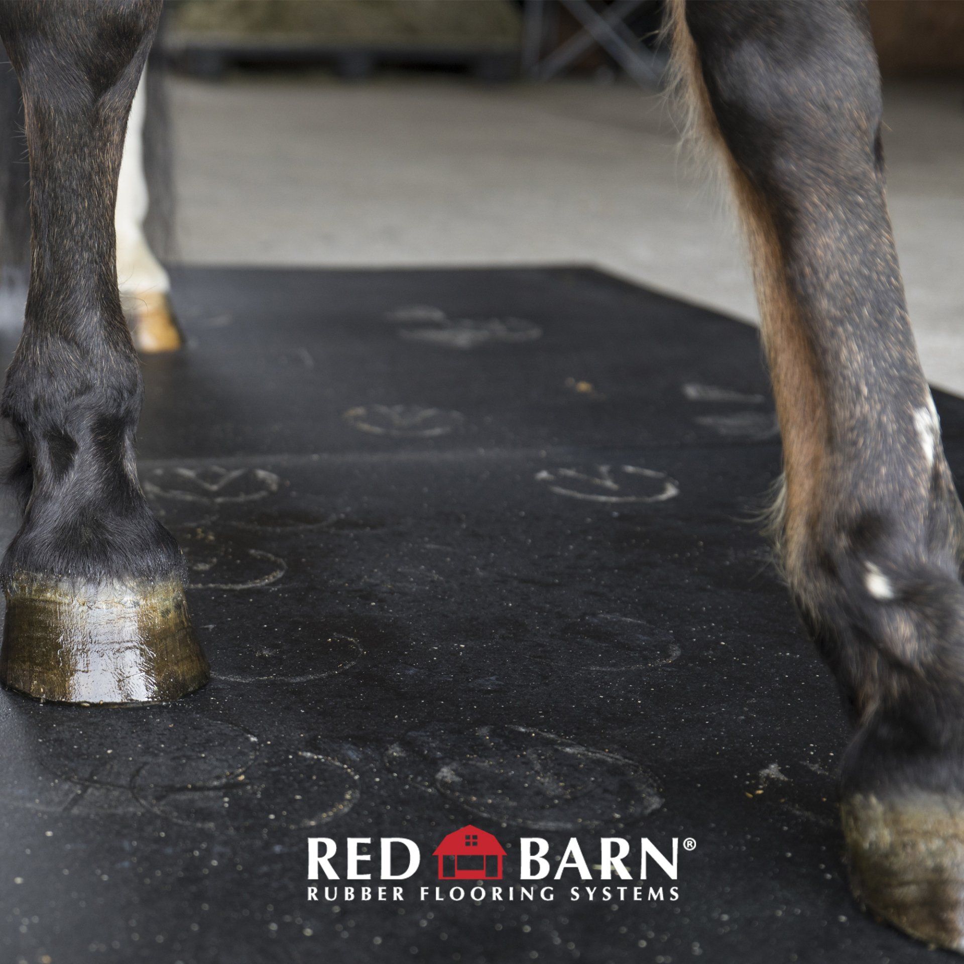 HighQuality Rubber Mats Hubbard, OR Oregon Rubber Mat