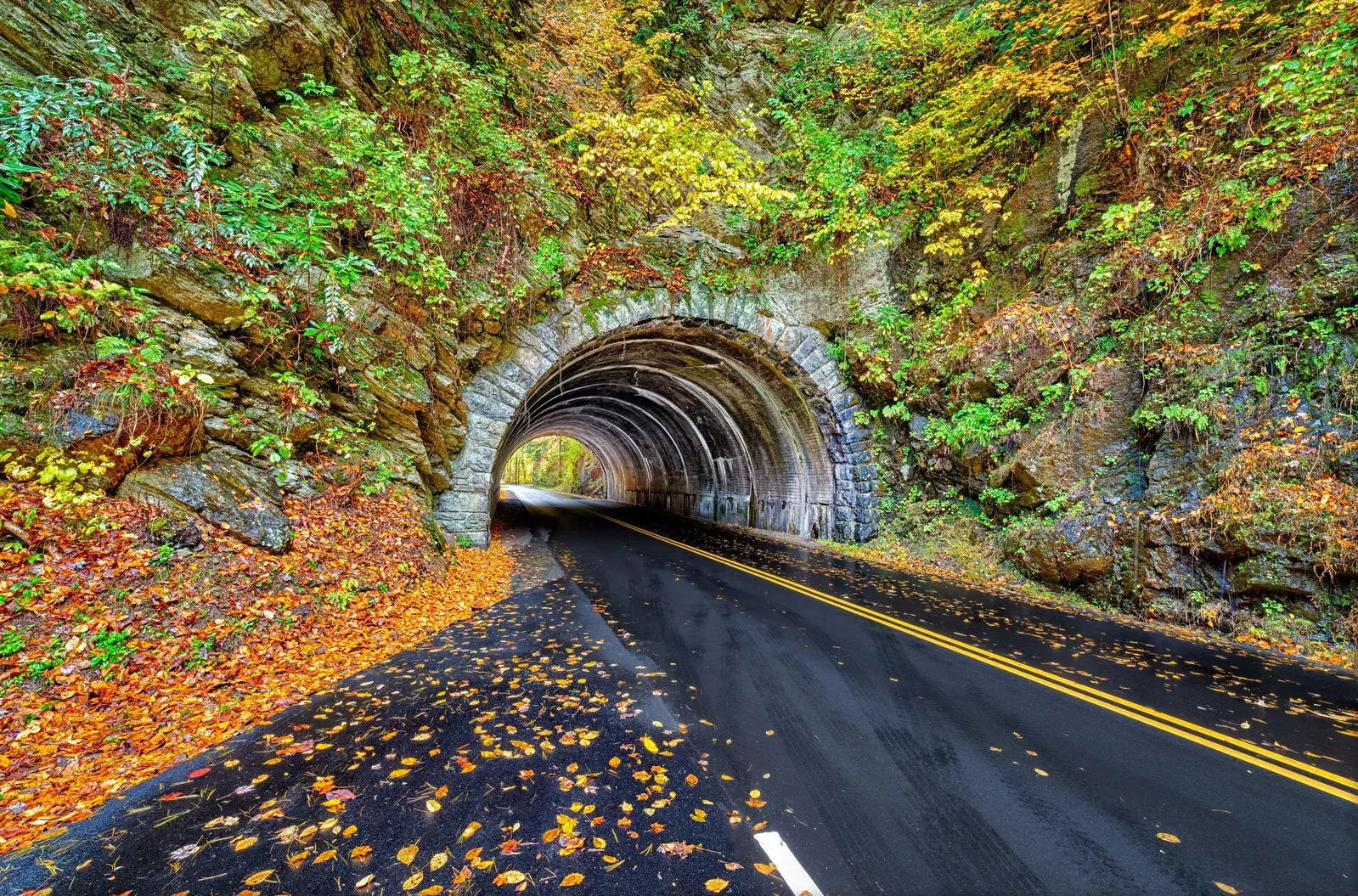 An asphalt road leads into a stone tunnel surrounded by lush, autumn-colored trees and fallen leaves.
