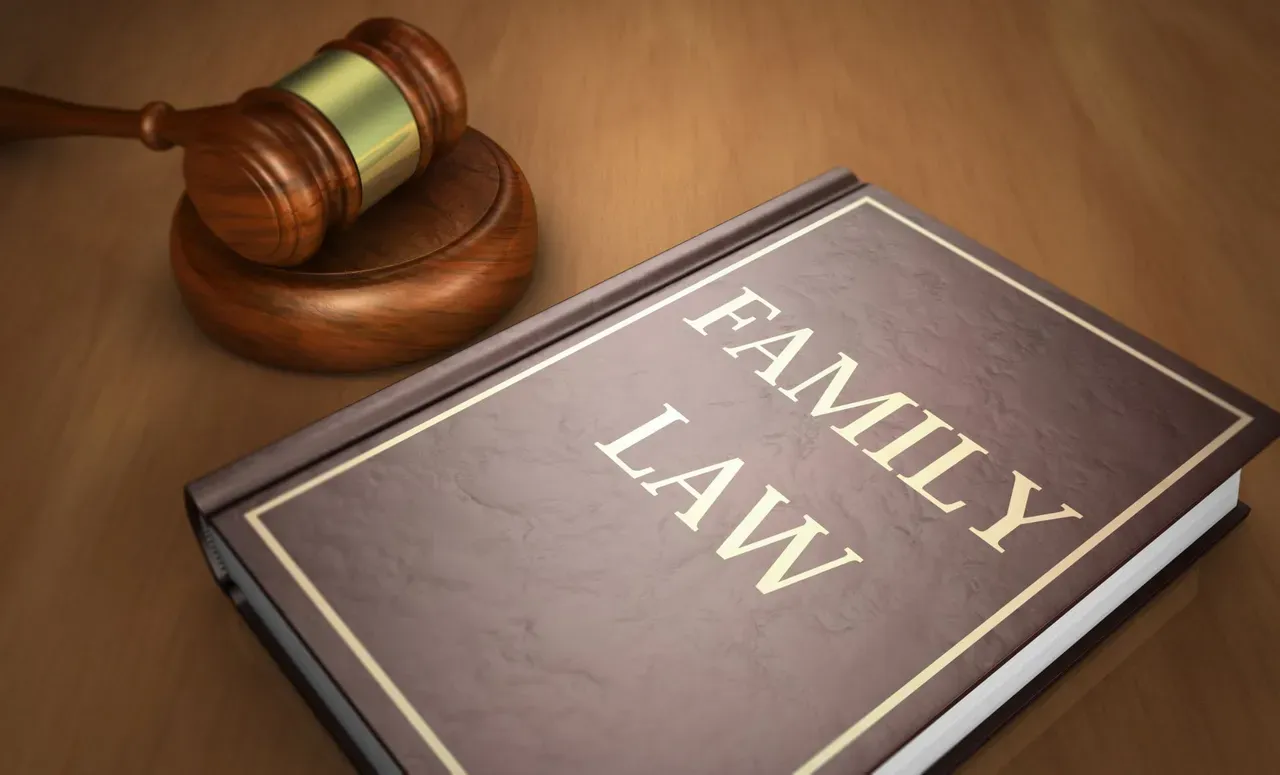 Family Law Book — Omaha, NE — Wesley S. Dodge Attorney at Law Mediation