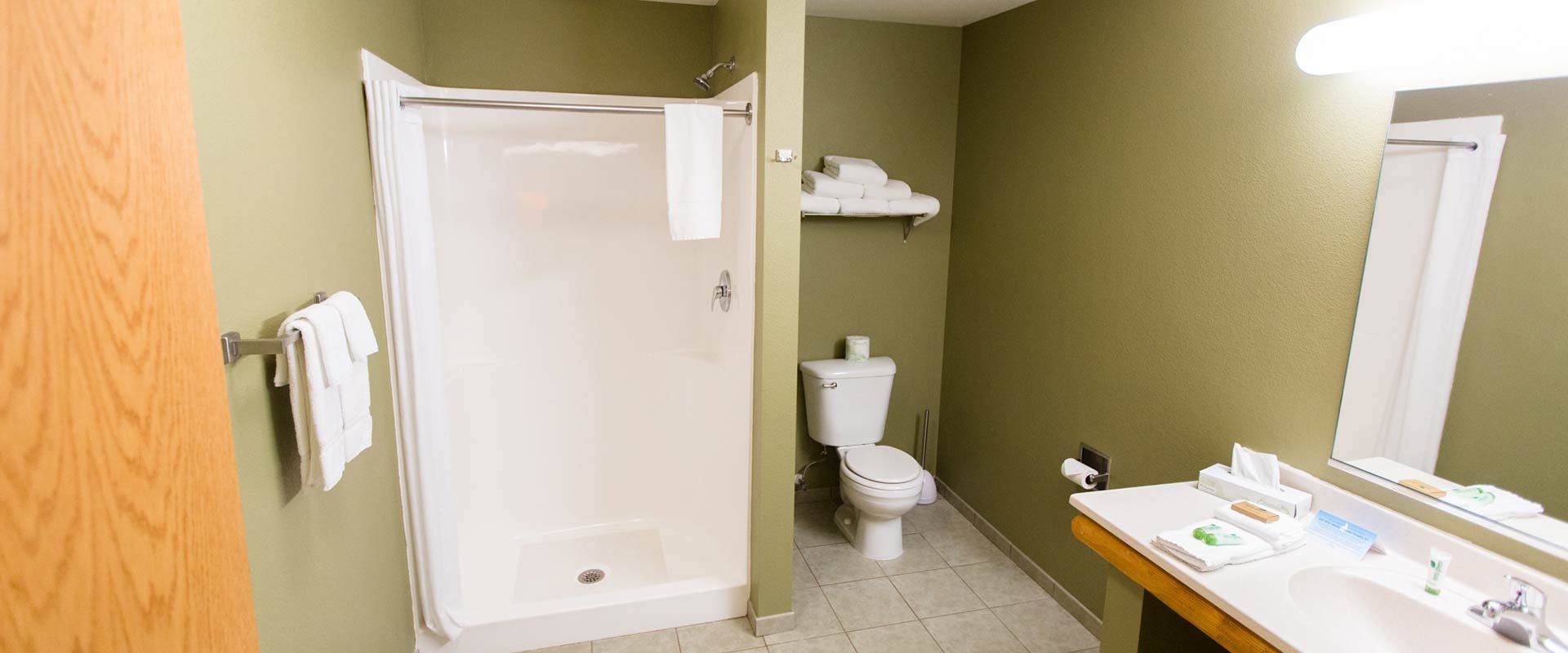 Bathroom with shower, toilet, and vanity with a mirror; the walls are green.