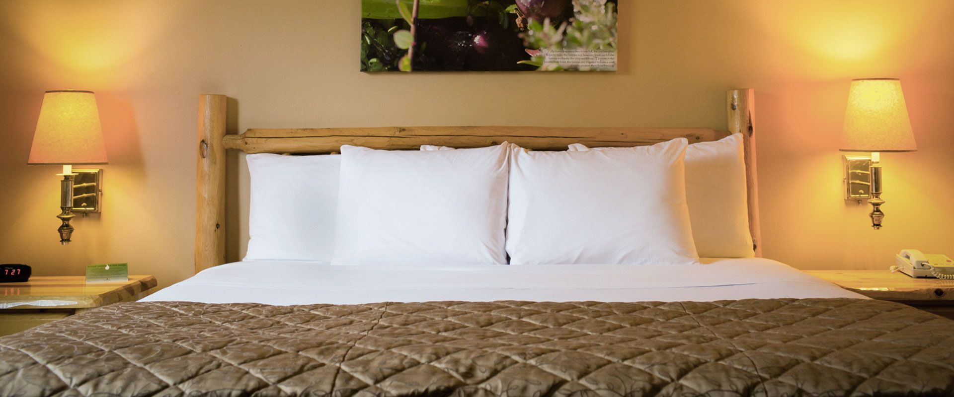 Bedroom with bed, white pillows, brown comforter, lamps, and nightstands.