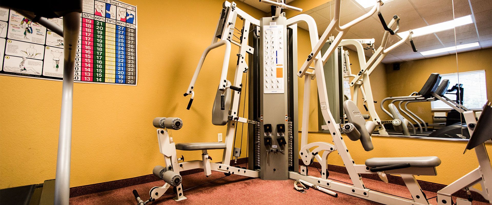 Gym with exercise machines and a treadmill reflected in a mirror.