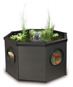 AffinityOctagonMocha