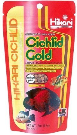 Hikari Cichlid Gold