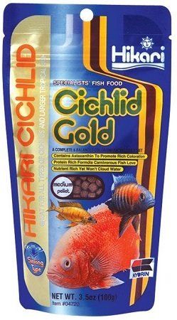 Hikari Cichlid Gold Sinking