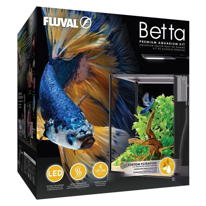 Betta Aquarium in Box