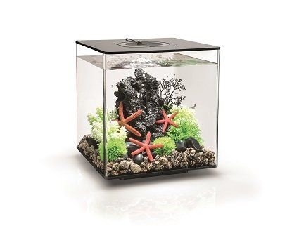 Cube Aquariums