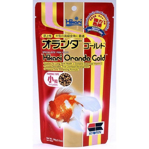 Hikari Oranda Gold
