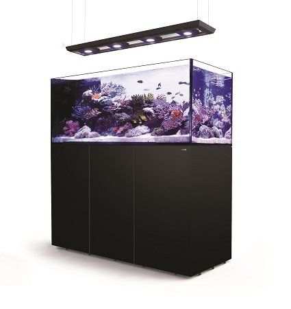 Red Sea Aquariums