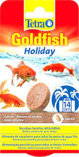tetragoldfishholiday