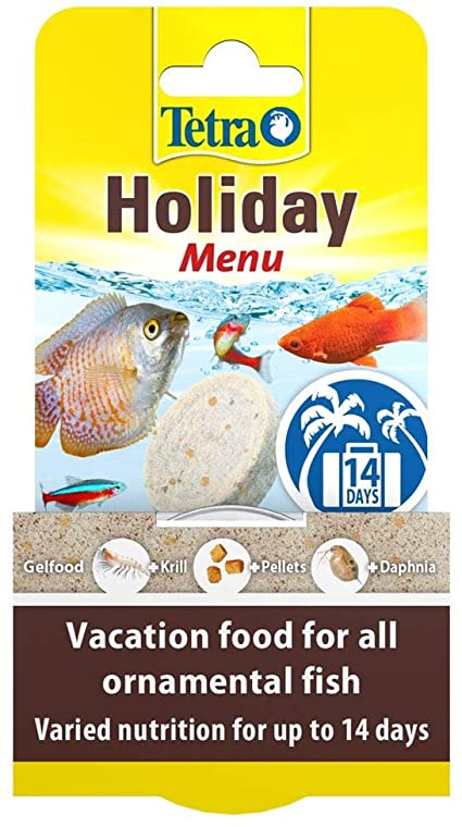 tetraholidaymenu