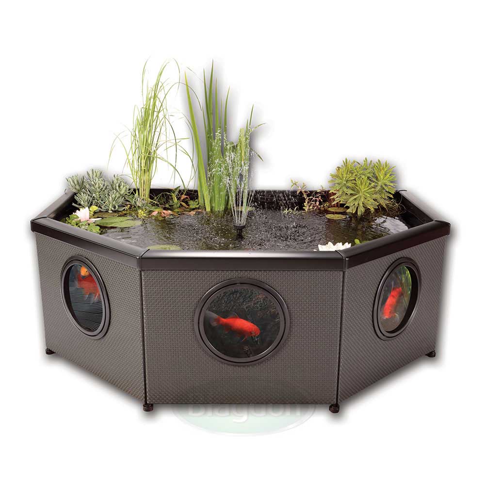 affinitygrandhalfmoon