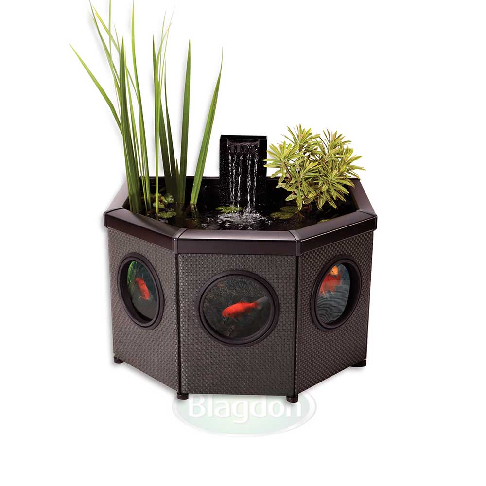 affinityviewhalfmoon