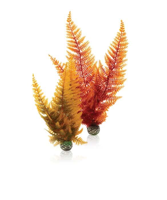 biOrb-Aquatic-autumn-fern-se