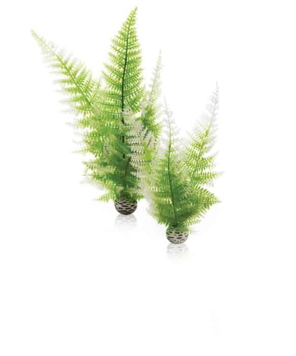 biOrb-Aquatic-winter-fern-se
