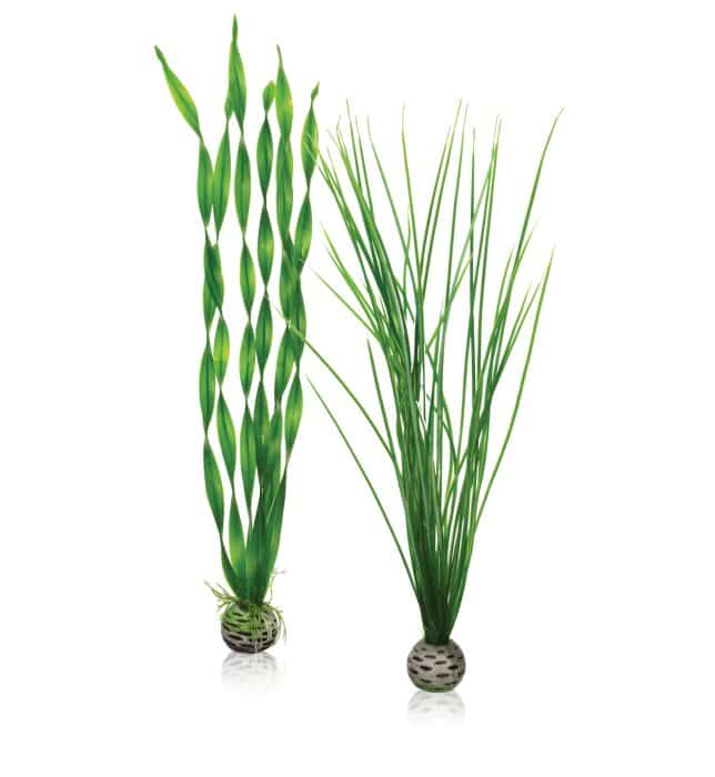 biOrb-Easy-plant-set-L-green