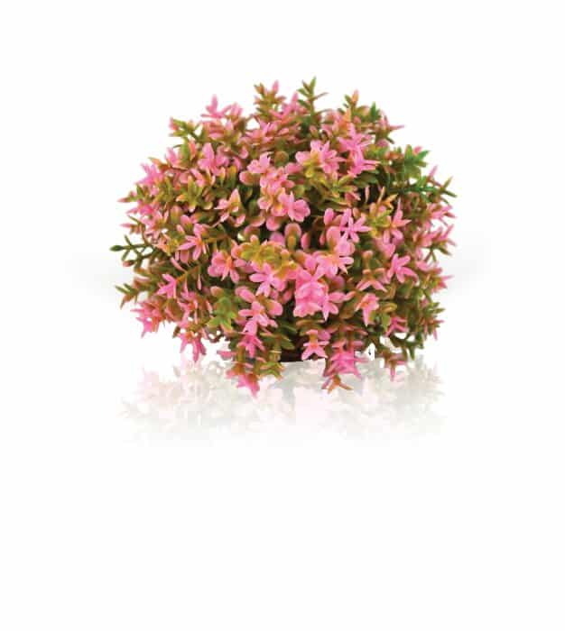 biOrb-Flower-ball-pink