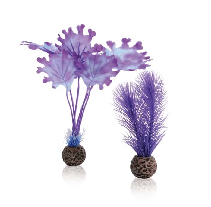 biOrb-Kelp-set-S-purple
