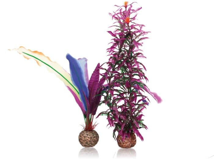 biOrb-parrots-feather