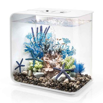 Flow Aquariums