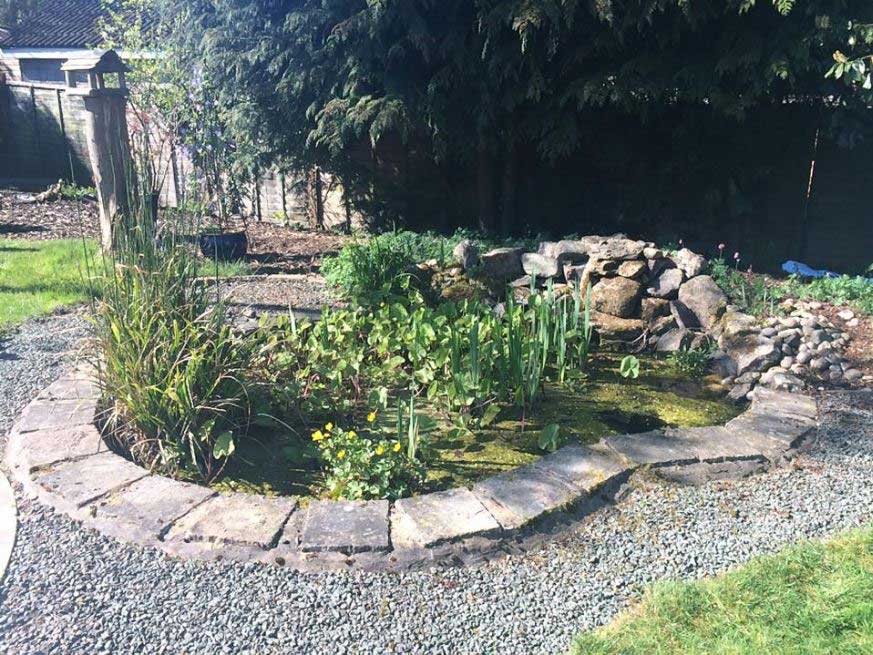 Garden pond before