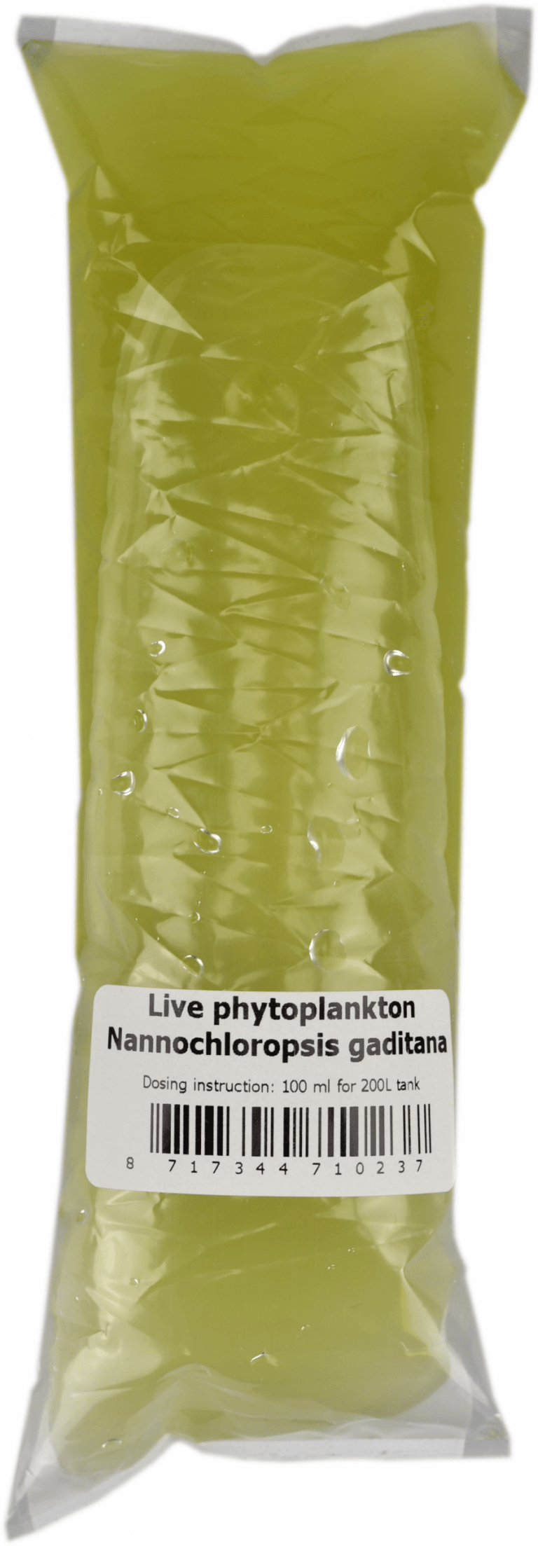 Phyto Plankton