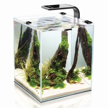 AquaEl Aquariums