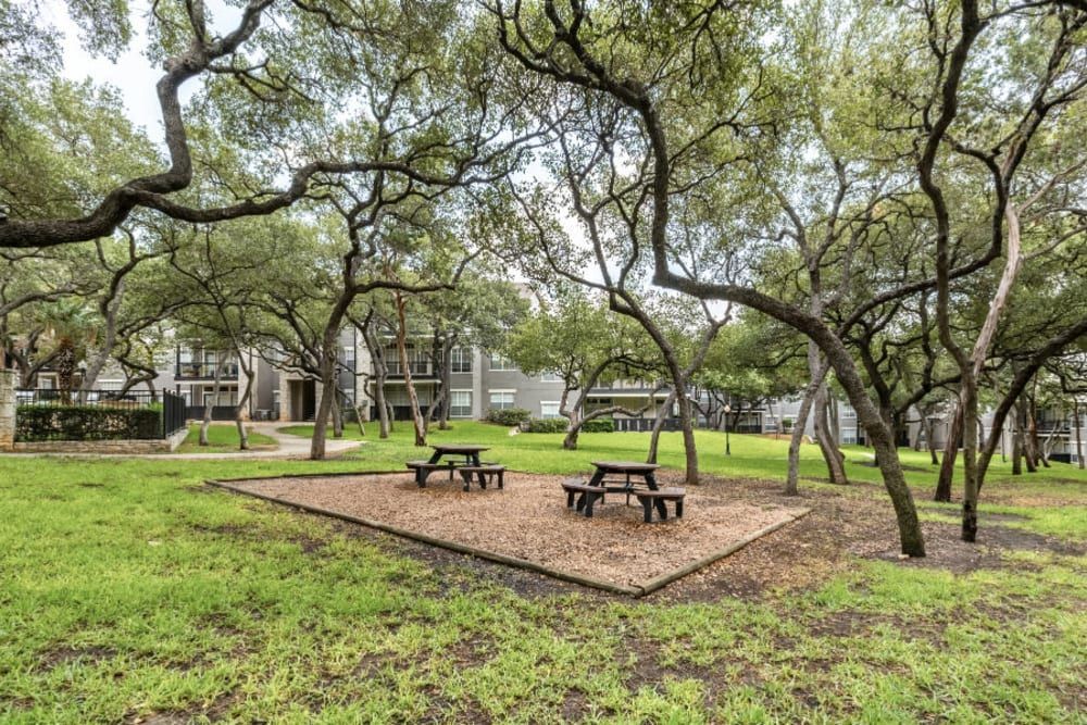 three picnic tables in the middle of a park surrounded by trees at Marquis at Deerfield in San Antonio, TX.