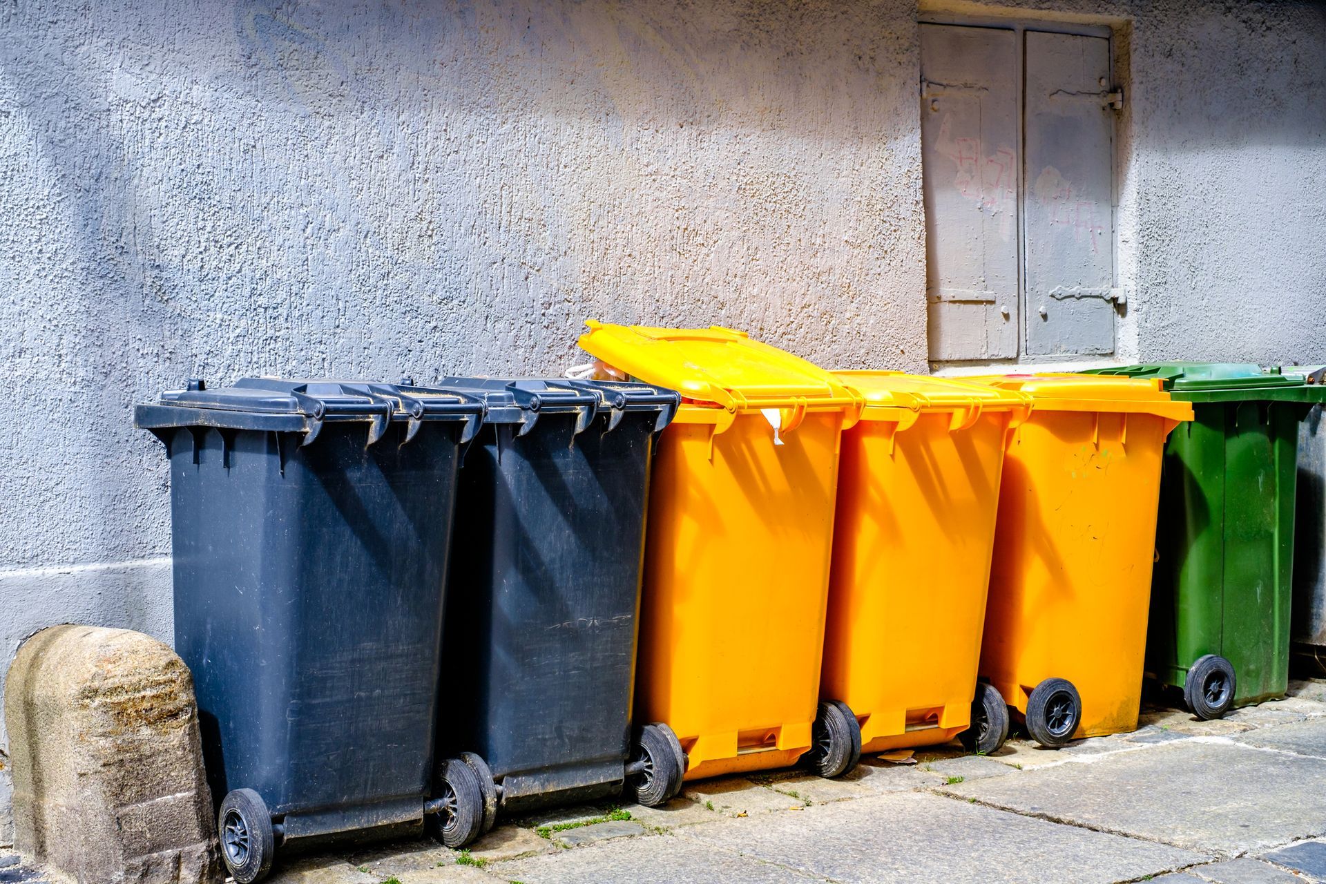 Five wheeled trash bins in black, yellow, and green lined up by a gray wall. Five wheeled trash bins in black, yellow, and green lined up by a gray wall.