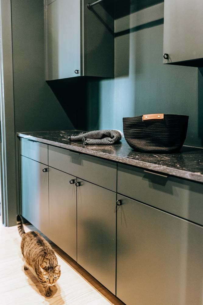 A cat is standing next to a counter in a kitchen.